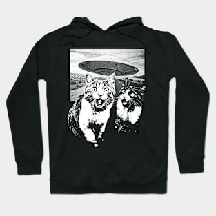 RUN BRO! Hoodie